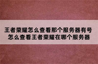 王者荣耀怎么查看那个服务器有号 怎么查看王者荣耀在哪个服务器